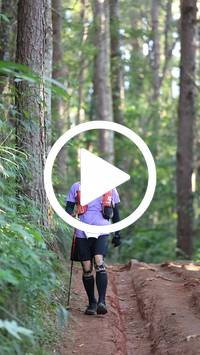 BIB:  <button type="button" onclick="openModal(26569952)" class="btn btn-primary btn-sm float-right" data-toggle="modal" data-target=".modal-high-quality">
                <i class="fa fa-download"></i> Download
                </button>